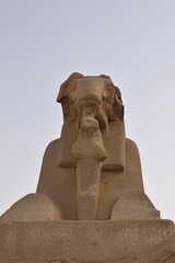 Fototapeta premium Luxor Muzeum i Karnak Pemple