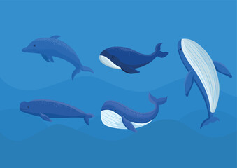 colored whales bundle