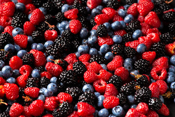 Seamless pattern with Flatley raspberry blackberry and blueberry.