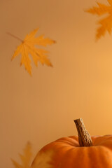 orange pumpkin and falling dry autumn leaves on background with copy space. minimal concept for thanksgiving. fall decor