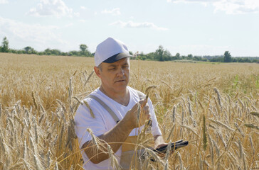 A farmer inspects a field with growing wheat, writes down data on a tablet.