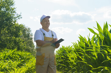 A farmer inspects a field with growing corn, writes data to a tablet.