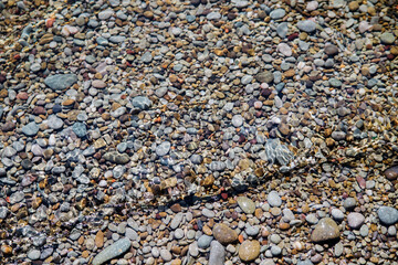Waves on the seashore. A clear sunny day. Clear, clean sea water. Holidays on the coast. Natural background and texture.