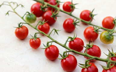 cherry tomatoes fresh on twigs close-up selective focus, organic vegetables,