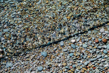 Waves on the seashore. A clear sunny day. Clear, clean sea water. Holidays on the coast. Natural background and texture.