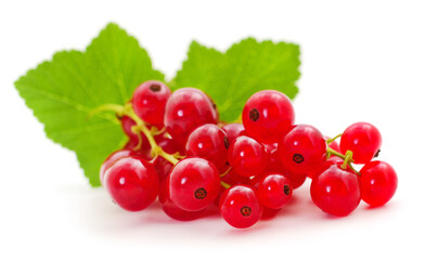 Red currants with green leaves.
