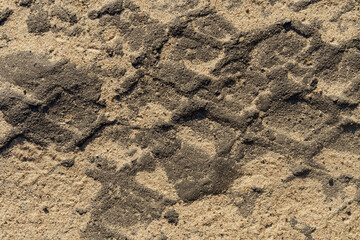 Truck tire tread track on a dirt road.