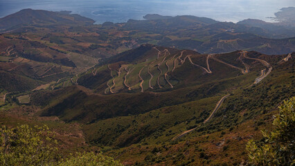 Lacets d'une route forestière sur le chemin de la Tour Madeloc, multiple switchbacks