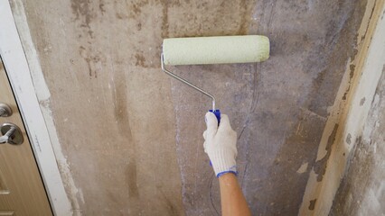 Applying glue with a roller on the wall under the ceiling. The process of applying a primer to a...