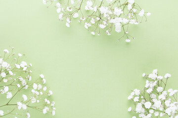 Beautiful flower background of pink gypsophila flowers. Flat lay, top view. Floral pattern.