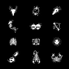 Collection zodiac signs halloween skull bones objects icons stars graphics black and white print