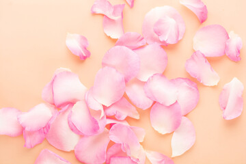 Fototapeta premium Rose flowers petals on pastel background. Valentines day background. Flat lay, top view, copy space.
