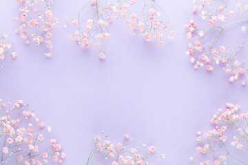 Beautiful flower background of pink gypsophila flowers. Flat lay, top view. Floral pattern.