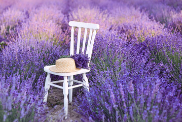 white chair with bouquet of lavender and straw hat at beautiful lavender flowers bloom. Travel,...