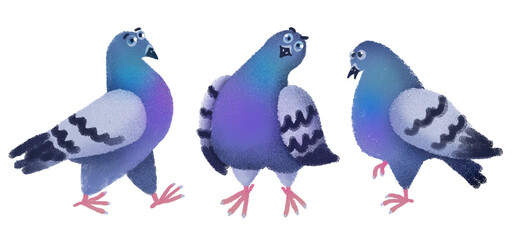 A set of cute hand-drawn pigeons on a white background. Digital illustration, original concept. Pigeon birds in different poses and with different emotions. A collection of funny characters