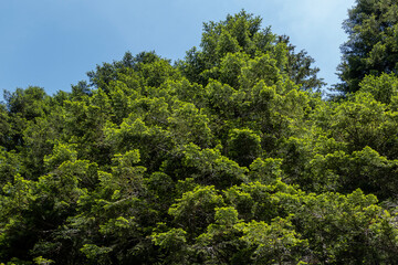 Valtellina (Lombardia)