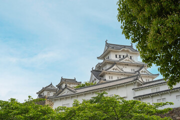 ５月の初夏、新緑の緑越しに眺める国宝姫路城