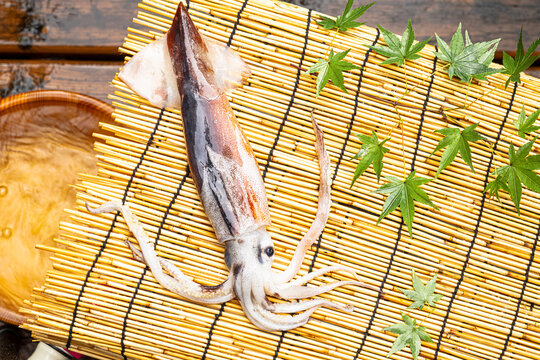 生するめいか の画像 137 0 件の Stock 写真 ベクターおよびビデオ Adobe Stock