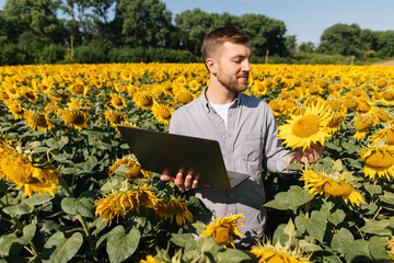 Agronomist with laptop inspects sunflower crop in agricultural field.