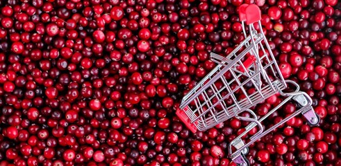 Shopping Trolley with ripe fresh cranberries as natural, food, berries, buying vitamins banner....