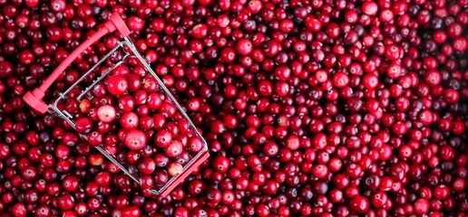 Shopping Trolley with ripe fresh cranberries as natural, food, berries, buying vitamins banner. Selective focus.	