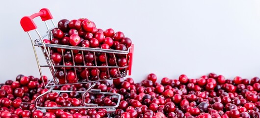 Shopping Trolley with ripe fresh cranberries as natural, food, berries, buying vitamins banner....
