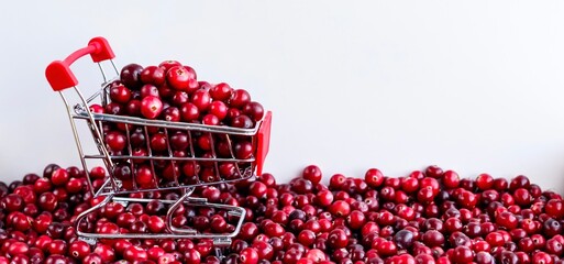Shopping Trolley with ripe fresh cranberries as natural, food, berries, buying vitamins banner. Selective focus.	