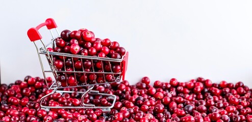 Shopping Trolley with ripe fresh cranberries as natural, food, berries, buying vitamins banner....
