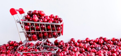 Shopping Trolley with ripe fresh cranberries as natural, food, berries, buying vitamins banner. Selective focus.	
