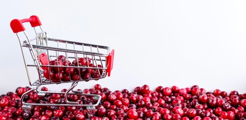 Shopping Trolley with ripe fresh cranberries as natural, food, berries, buying vitamins banner....