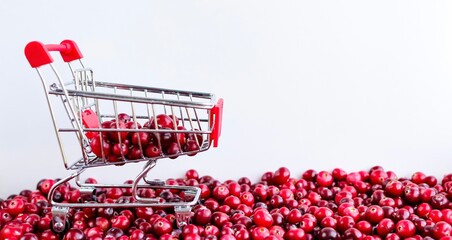 Shopping Trolley with ripe fresh cranberries as natural, food, berries, buying vitamins banner....