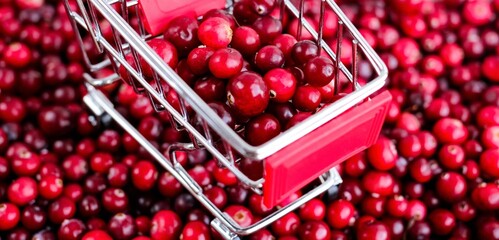Shopping Trolley with ripe fresh cranberries as natural, food, berries, buying vitamins banner....