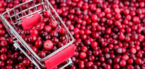 Shopping Trolley with ripe fresh cranberries as natural, food, berries, buying vitamins banner....