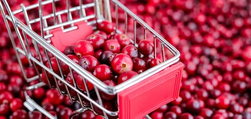 Shopping Trolley with ripe fresh cranberries as natural, food, berries, buying vitamins banner....