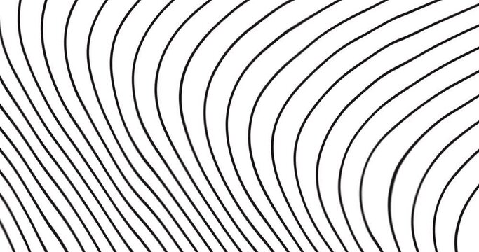 curved wavy lines tech futuristic motion background. dynamic abstract line waving loop line. Metaverse Abstract Seamless wave abstract lines stream 4K background loop