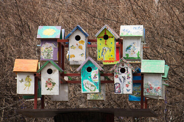 Home for Birds. Birdhouses in the park. Bright birdhouses.