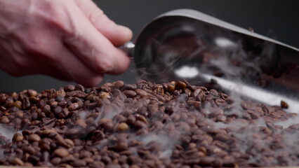 Man hand scooping coffee grains using ladle close up. Person mixing seeds.