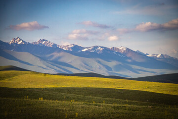 Fototapeta premium suussamyr valley in kyrgyzstan, mountain landscape, central asia, green valley, pasture
