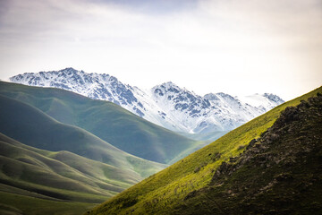 Fototapeta premium jalgyz karagay pass, mountain area in kyrgyzstan, central asia, summer pasture