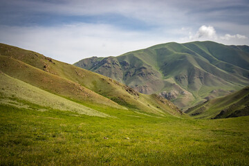 jalgyz karagay pass, mountain area in kyrgyzstan, central asia, summer pasture