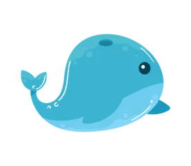 Store enrouleur Baleine whale blue sealife animal