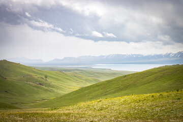 Fototapeta premium song-köl lake, jalgyz karagay pass, mountain area in kyrgyzstan, central asia, summer pasture