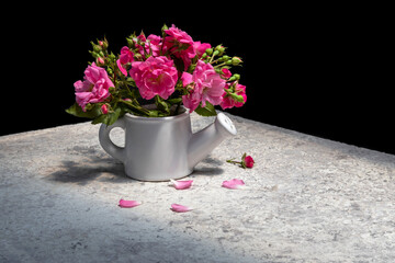 Bouquet of bright pink roses in ceramic watering can. Black background. On table with loose heterogeneous stone texture