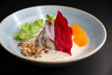 ceviche peruvian raw fish dish top view close up