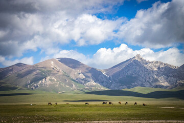 mountain landscape in kyrgyzstan, central asia, clouds, summer pasture