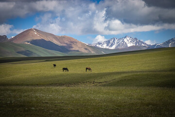 mountain landscape in kyrgyzstan, central asia, clouds, summer pasture