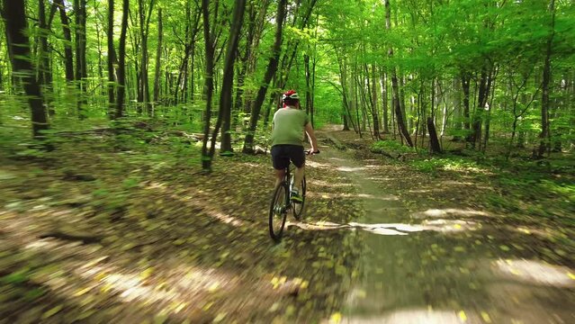 Young man in a bicycle helmet rides a bicycle through the forest. Following Shot