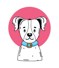 dog with blue necklace