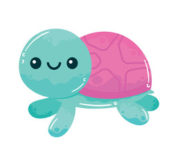 blue turtle sealife animal