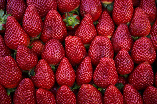 Ripe strawberries